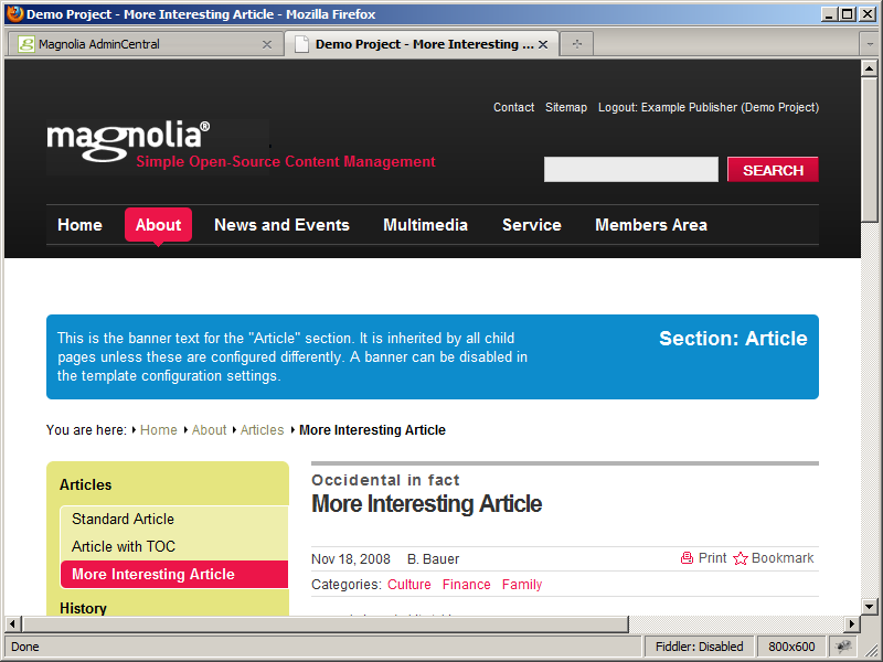 Preview of updated paragraph in Magnolia CMS