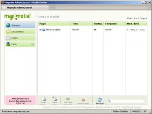 First view of Admin Central in Magnolia CMS