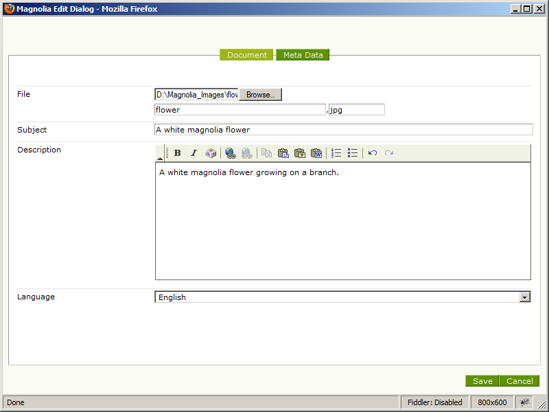 New DMS document dialog in Magnolia CMS