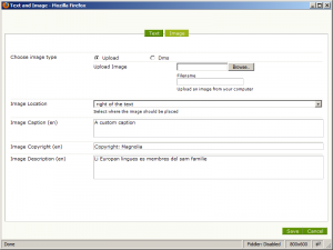 Magnolia CMS image upload dialog