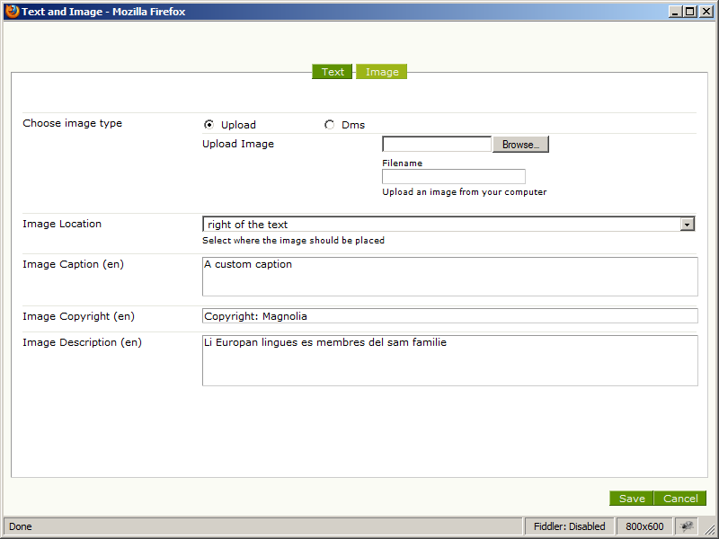 Magnolia CMS image upload dialog