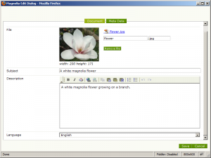 DMS image dialog in Magnolia CMS