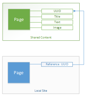 Illustration of local site referencing the master source